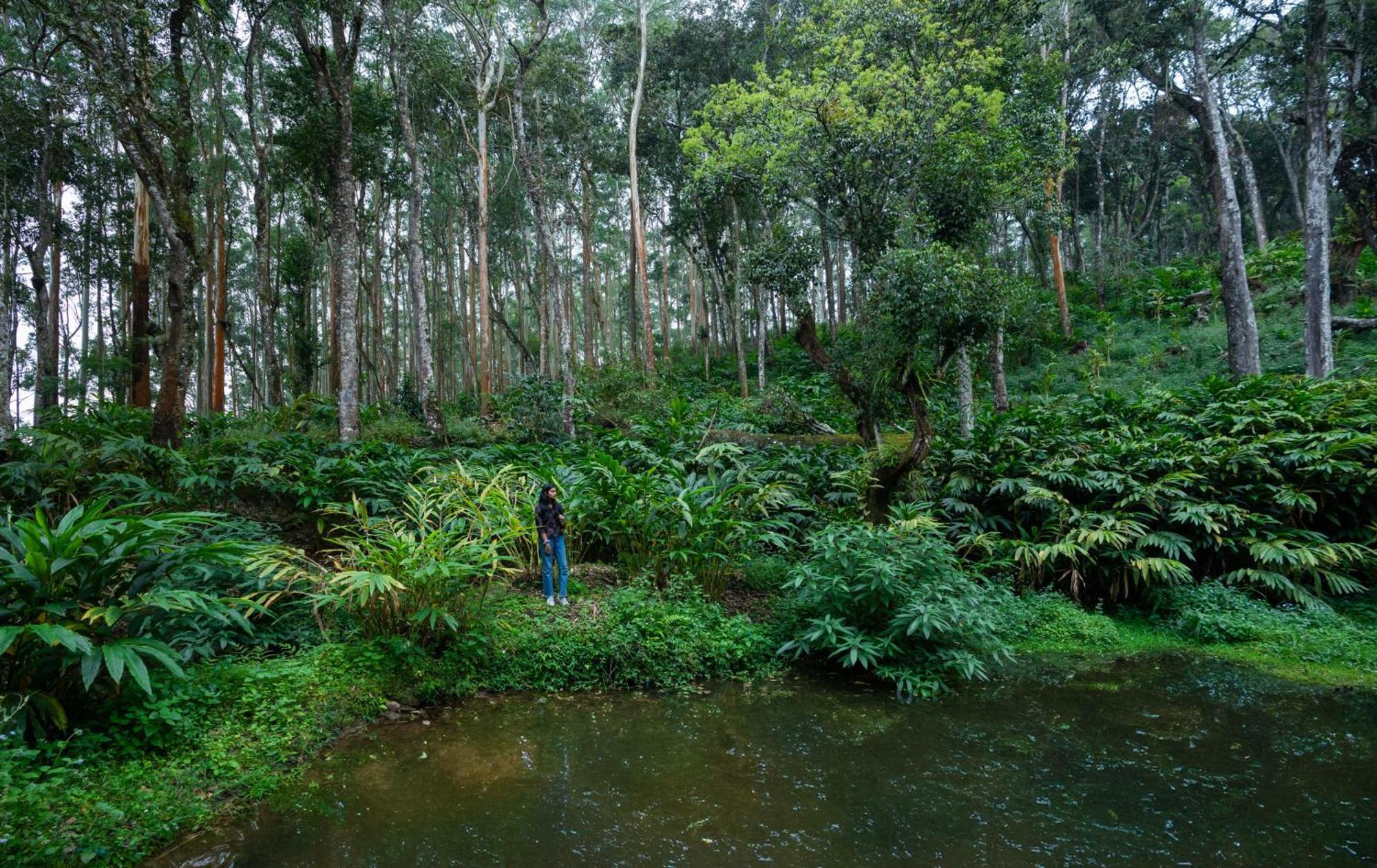 Fort Munnar Chinnakanal Exterior foto